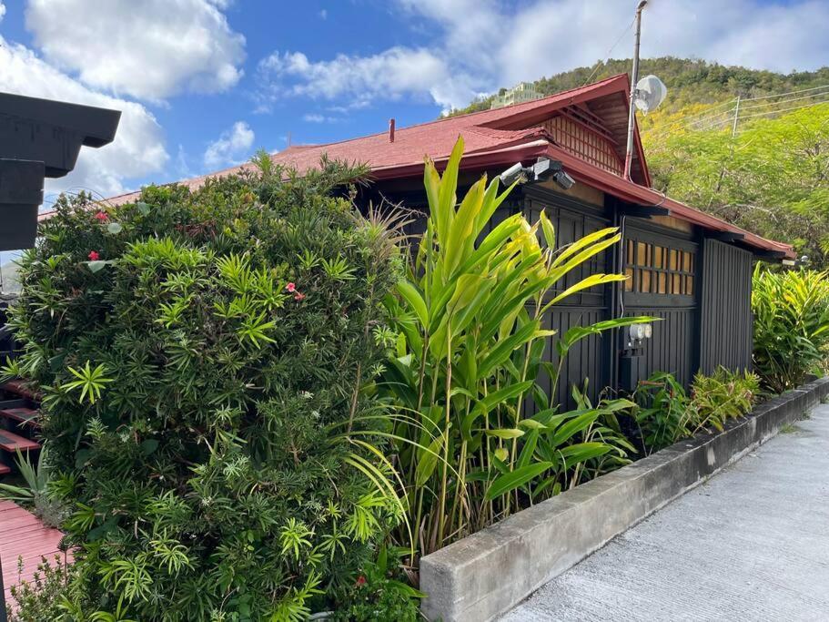 Mid-Century: Caribbean Style Apartamento Contant  Exterior foto